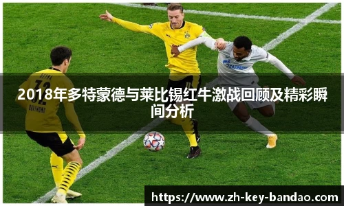  半岛网直播