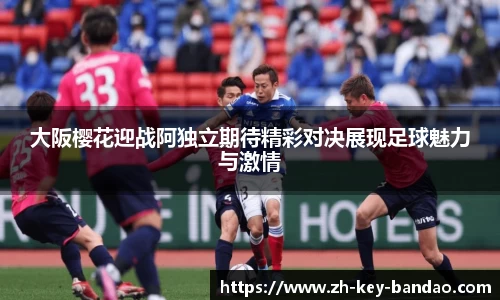 半岛体育.com