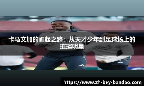 半岛体育
