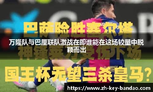 半岛体育