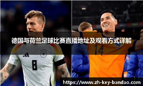  半岛体育官网