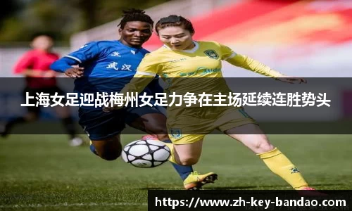  半岛体育官网