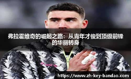  半岛网直播