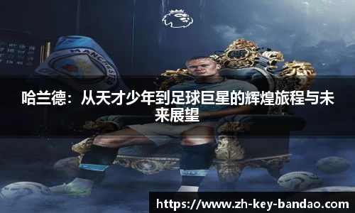  半岛体育.com