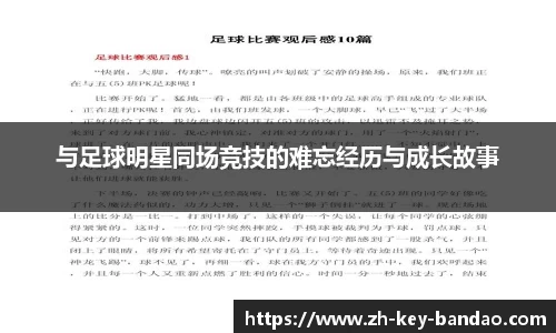  半岛网直播
